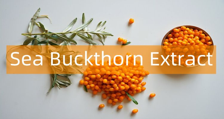 Sea Buckthorn.png